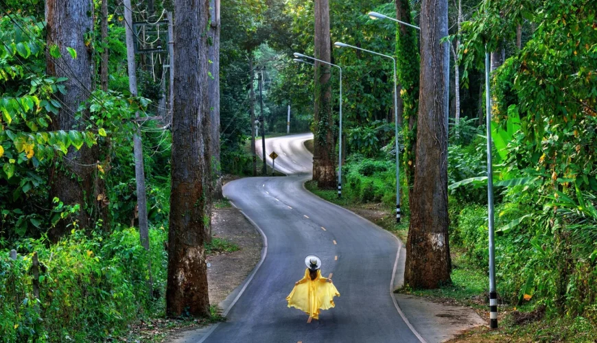 What to Do for Fun Near Me: Local Adventures Await