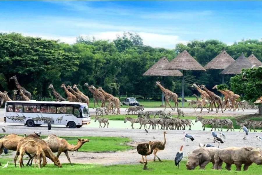 Bangkok :The Amazing Safari Journey: World of Wildlife